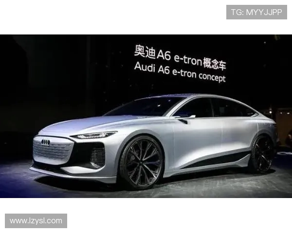 能源赛场马拉松 全球电动车销量分化 欧盟禁俄气攻防战升级新局